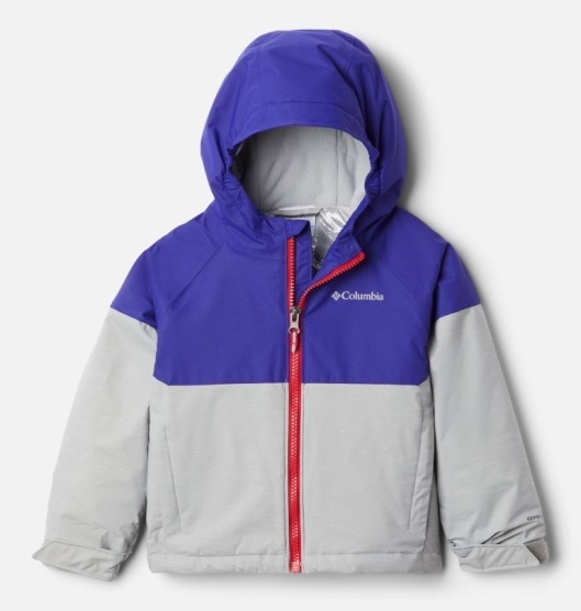 Columbia Alpine Action II Kids' Ski Jacket Grey Purple | 634-VLZKQA