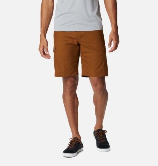 Columbia Brentyn Trail Men's Shorts Brown | 395-MJRDPI