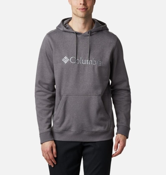 Columbia CSC Basic Logo II Men's Hoodies Grey | 079-JYCOIE