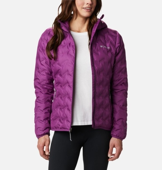 Columbia Delta Ridge Women's Down Jacket Navy | 234-TMNKAI