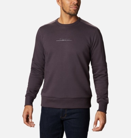 Columbia Lodge Men's Hoodies Purple | 792-DNVQRA