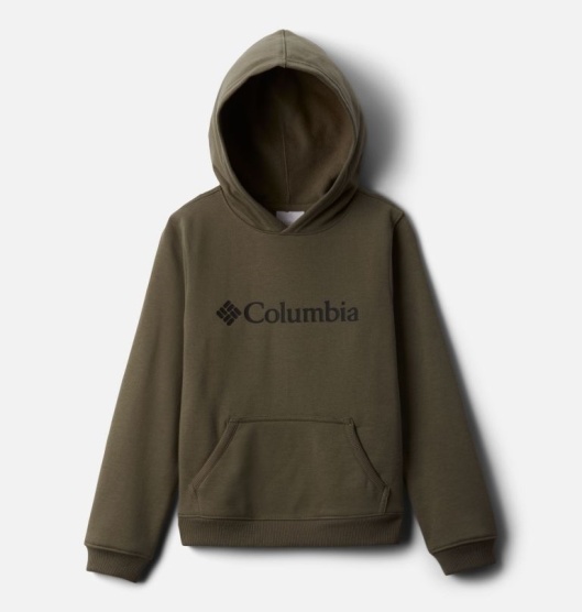 Columbia Logo Kids' Hoodies Green | 230-MFYCGZ