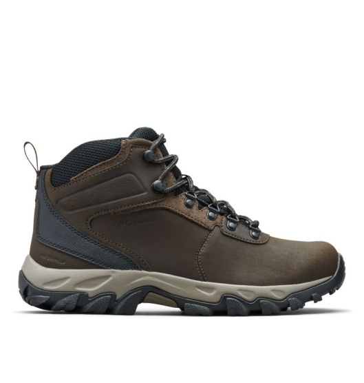 Columbia Newton Ridge Plus II Men's Boots Brown | 075-YXGBHU