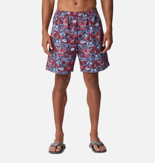 Columbia PFG Super Backcast Men's Shorts Multicolor | 409-ASKJQU