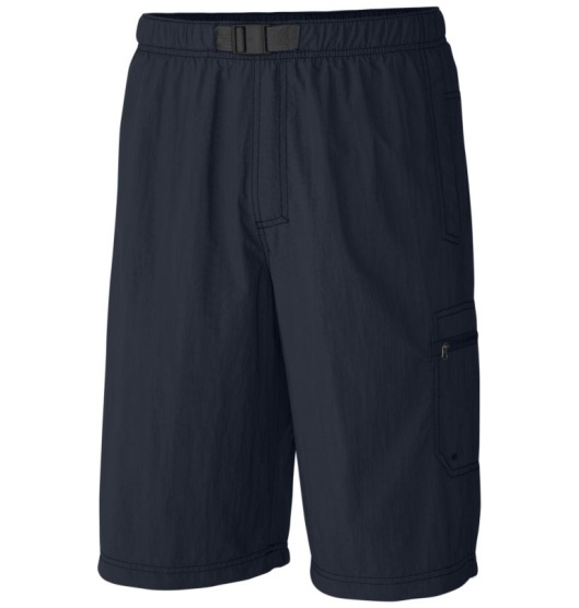 Columbia Palmerston Peak Men's Shorts Blue | 536-NZAESI