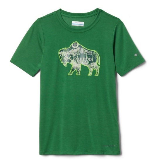 Columbia Ranco Lake Kids' T-Shirt Green | 924-QFLTNS