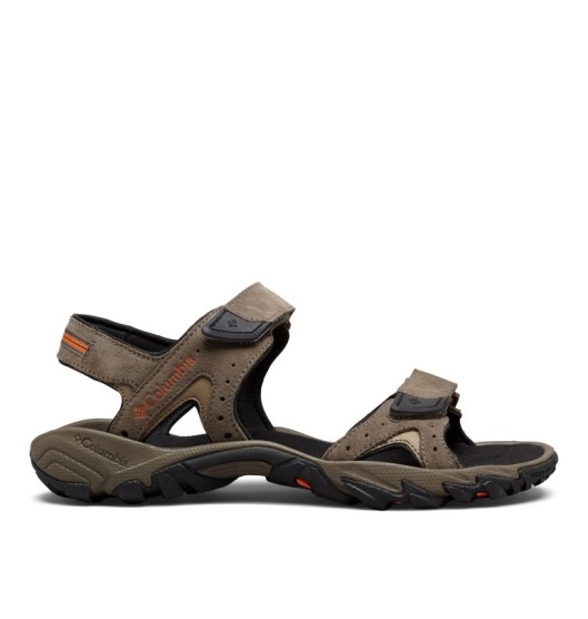 Columbia Santiam Men's Sandals Brown | 546-PCYROW