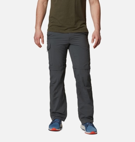 Columbia Silver Ridge Men's Hiking Pants Grey | 230-SJFWGP