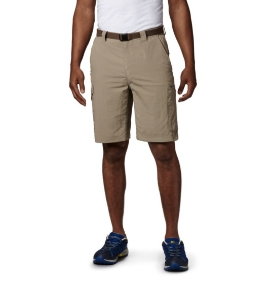 Columbia Silver Ridge Men's Shorts Beige | 940-XYJWZT